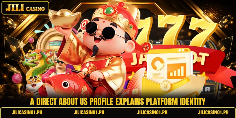 A direct about us profile explains platform identity