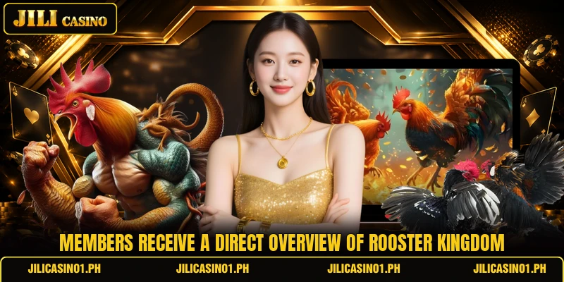 Members receive a direct overview of rooster kingdom Members receive a direct overview of rooster kingdom