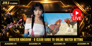 Rooster Kingdom - A Clear Guide To Online Match Betting