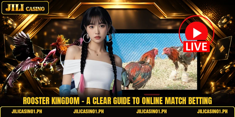 Rooster Kingdom - A Clear Guide To Online Match Betting